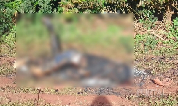 A suspeita é que o corpo seja de um jovem que estava desaparecido na cidade.(Foto:PM)