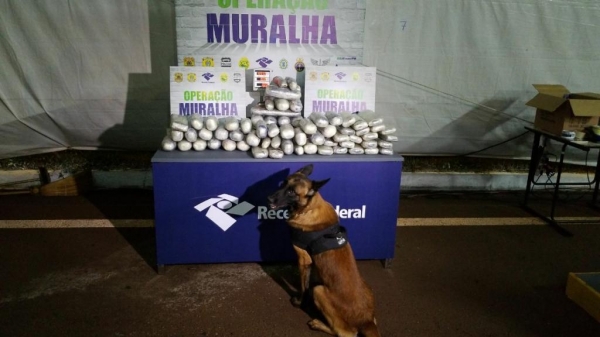 A droga totalizou 68,310 kg. (Foto: Assessoria)