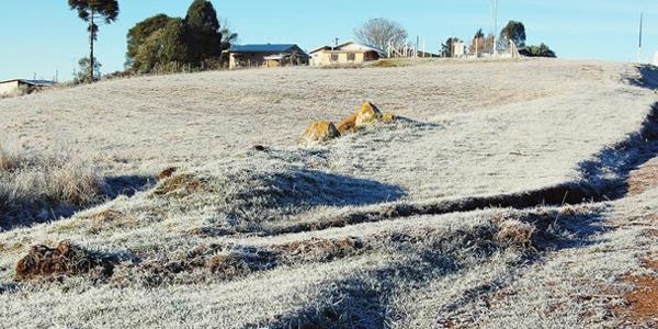 (Foto: Divulgação)