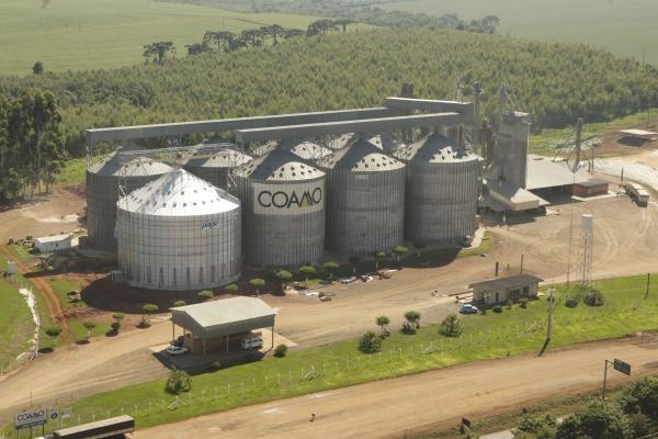 Coamo/Divulgação (Foto: Cooperativas: 40 milhões de frangos deixaram de ser abatidos no Paraná durante a greve)