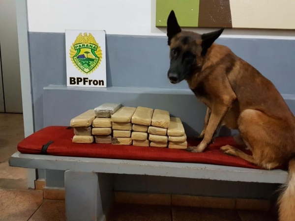 14,300 kg de maconha foi apreendida. (Foto: BPFron)