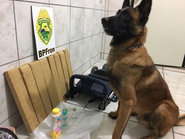 Quase 10 kg de maconha foram apreendidos (Foto: Divulgação/BPFron )