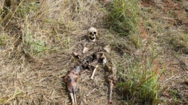 O jovem sofria transtorno mental e estava medicado quando desapareceu.(Foto: Catve)