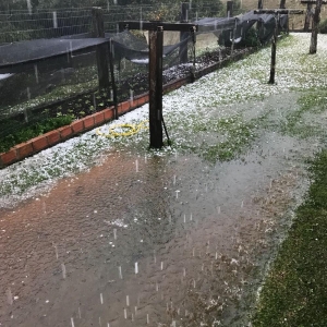 Granizo atingiu Abelardo Luz (Foto: Defesa Civil/Divulgação)