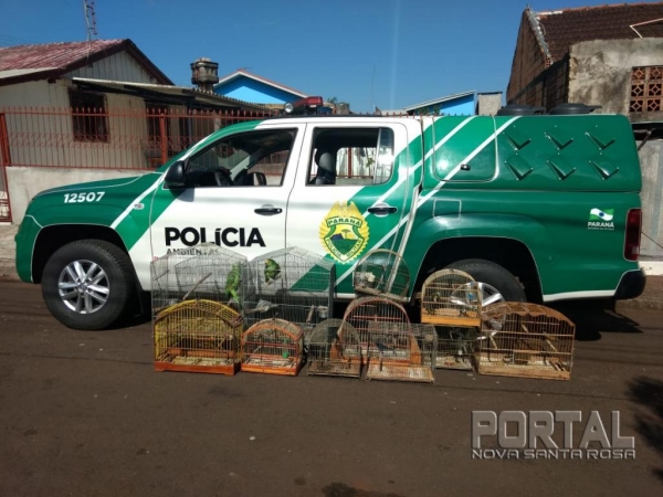 A ação ocorreu em Capanema, Boa Vista da Aparecida, Nova Santa Rosa, Palotina e Capitão Leônidas Marques.(Fotos: Polícia Ambiental)