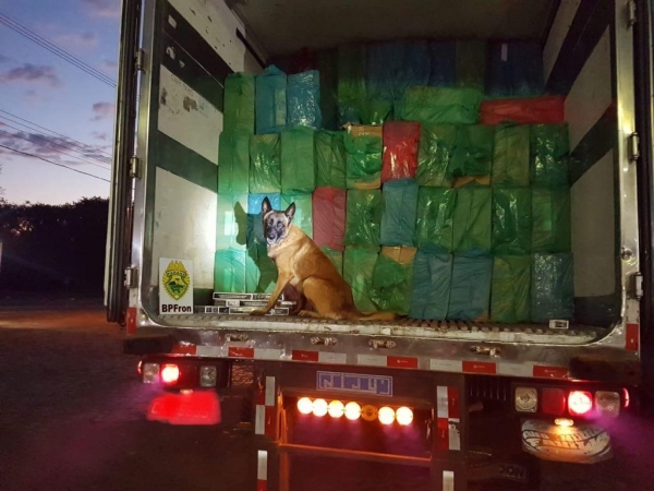 O carregamento e veículo foram apreendidos e encaminhados a Receita Federal de Guaíra. (Fotos: Assessoria)