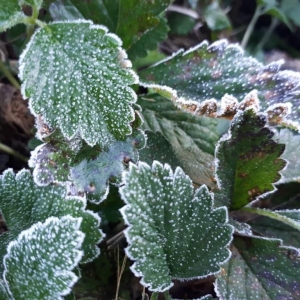 Há previsão de sol para ao longo do dia e as temperatuas sobem aos poucos (Foto: Jairton Conceição/RPC)