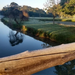 Parque Barigui, em Curitiba, na manhã desta quarta-feira (11) (Foto: Dulcineia Novaes/RPC)