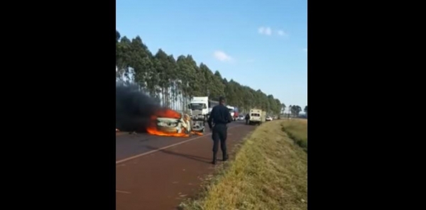 Imagens: Reprodução