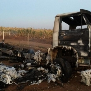 Caminhão transportava carga de algodão; o motorista não se feriu (Foto: Alberto D\'angele/RPC)