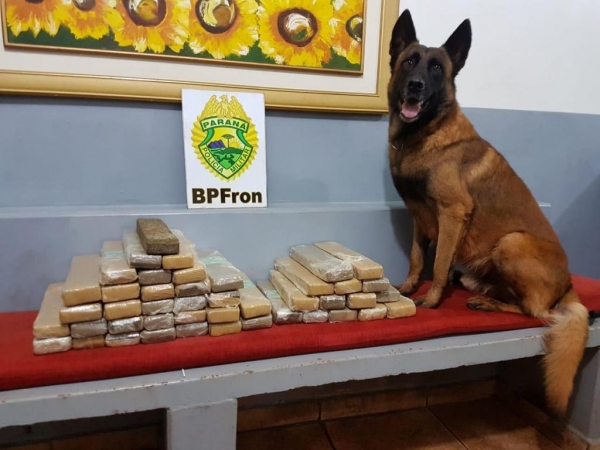 A droga foi detina em duas malas e uma bolsa de mão. (Foto: BPFron)