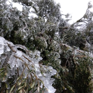 Amanhecer gelado e com sincelo na Serra Catarinense, em Urupema (Foto: Gabriela Machado/ NSC TV)
