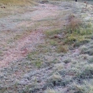 Temperaturas registradas em Palotina. (Foto: Renan Gênero)