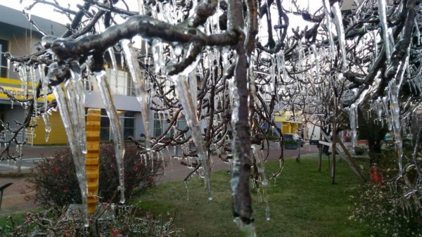 Frio em São Joaquim nesta segunda-feira (27) (Foto: Wagner Urbano/ Notiserrasc)