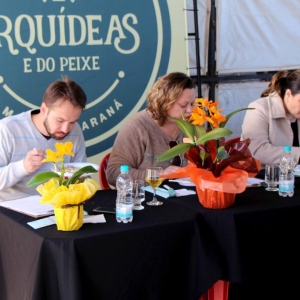 Degustação dos Peixes. (Fotos: Assessoria)