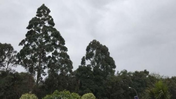 Na sexta-feira (31) deve chover 3mm com ventos de até 60 km/h na região oeste. (Foto: Catve)