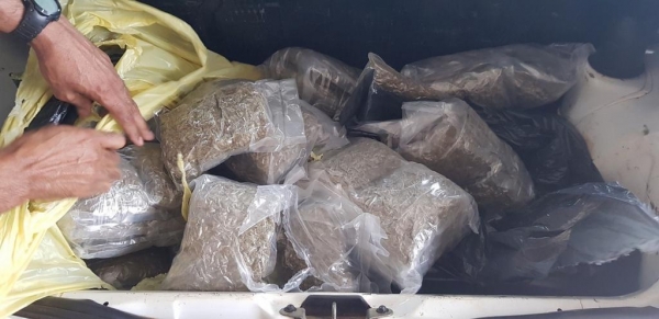 Após pesada a droga totalizou 29,250Kg. (Foto: PRE)