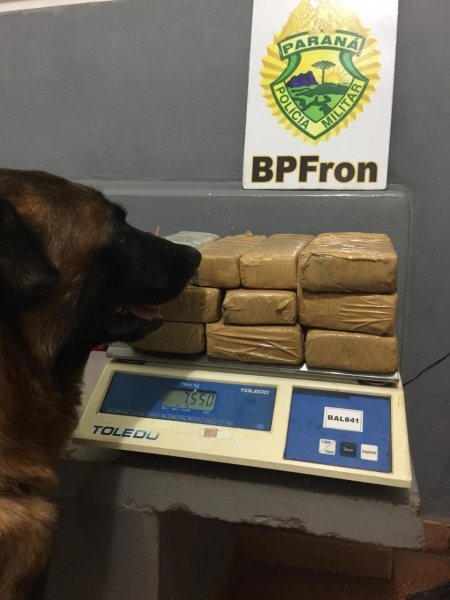 A droga estava em um ônibus de linha. (Foto: BPFron)