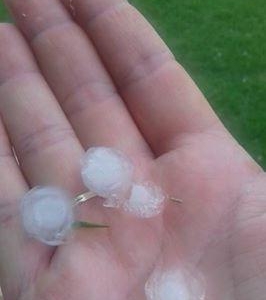 Fotos de chuva de granizo em Vila Cristal. (Foto: Colaborador)