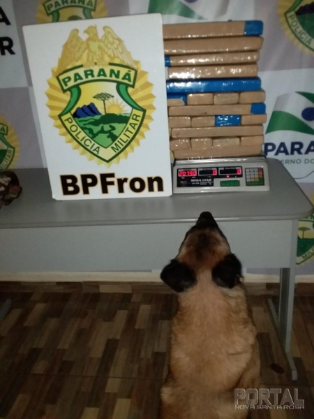 Segundo o proprietário da bagagem, a droga seria levada para Santa Maria. (Foto: BPFron)