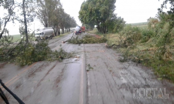 Fotos: Portal Palotina