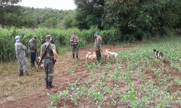Fotos: Policia Ambiental