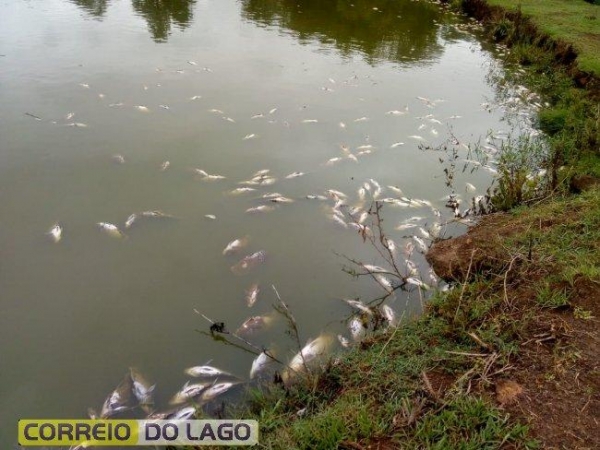 A indignação dos moradores afetados com a falta de energia, é que não houve temporal, apenas choveu.. (Foto: Correio do Lago)