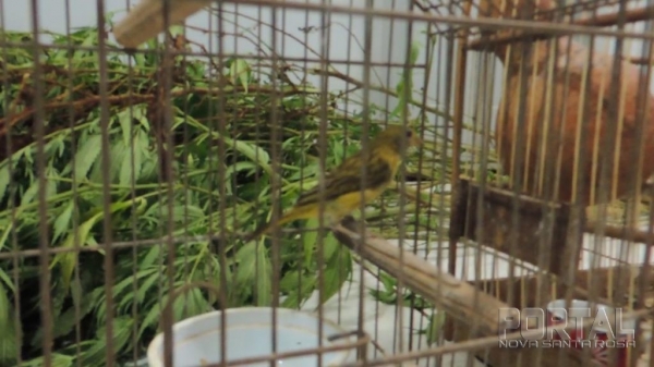 Fotos: Bogoni/Radar BO/Catve