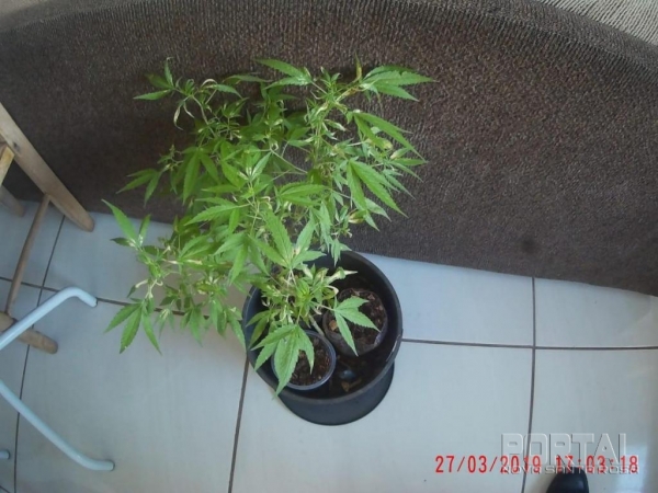 Fotos: PM