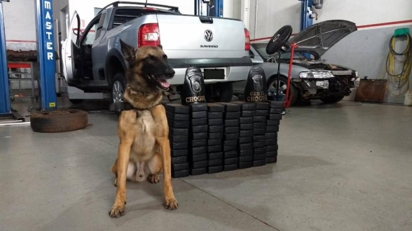 Conforme o condutor, a droga estava vindo de Nova Andradina(MS), com destino à Cambé(PR), totalizando 70 tabletes (74,4 kg) de pasta base de cocaína.(Foto: Reprodução)