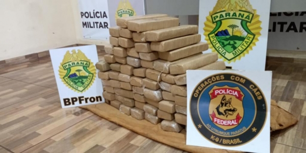  Toda a erva foi encaminhada para tomada das medidas legais .(Foto: BPFron)