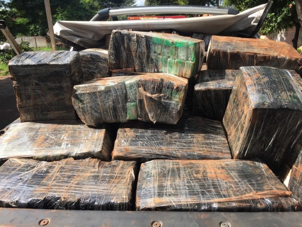 Maconha apreendida. (Foto: Marechal News)