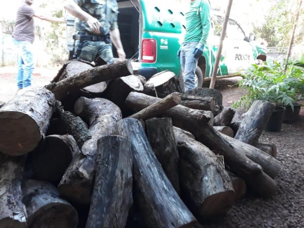 A infração gerou uma multa de 300 reais ao morador. (Fotos: Polícia Ambiental)