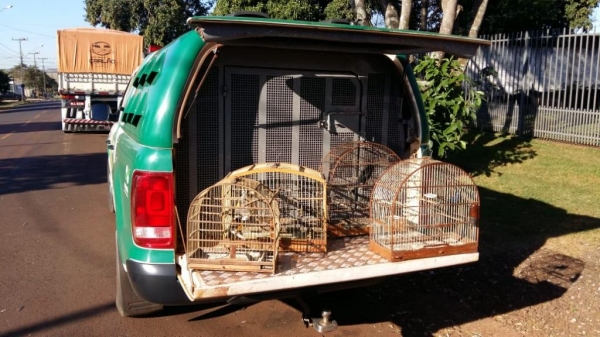 Fotos: Polícia Ambiental