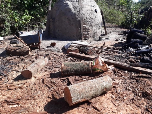 Fotos: Polícia Ambiental