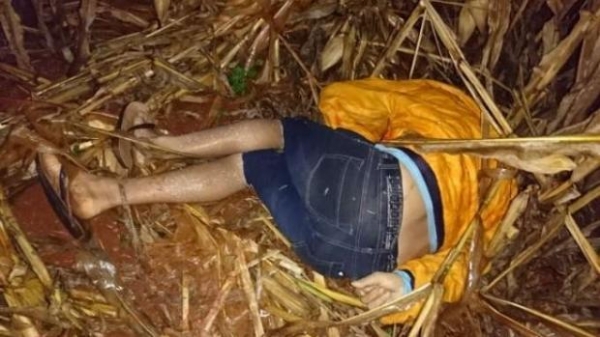 Foto: Guia Medianeira