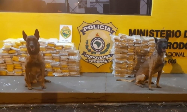 Polícia encontrou 268 kg de droga em caminhão com a ajuda de cães farejadores, em Apucarana — Foto: Divulgação/PR