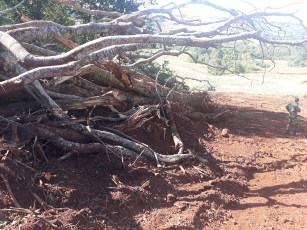 Fotos: Polícia Ambiental
