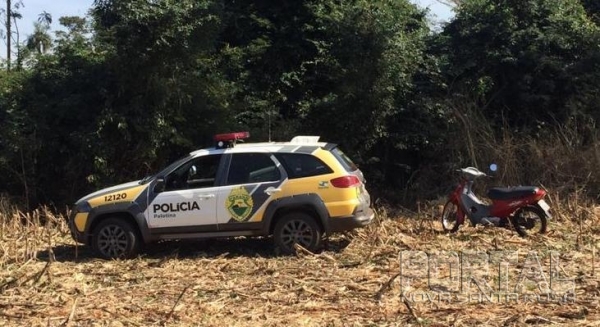 Foto: Portal Palotina
