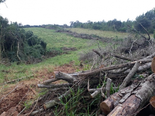 Foi confeccionado Auto de Infração Ambiental (AIA) no valor de R$ 105.000,00.(Fotos: Polícia Ambiental)
