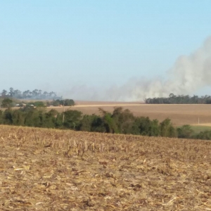 Incêndio em Planalto do Oeste. (Foto: Colaborador)