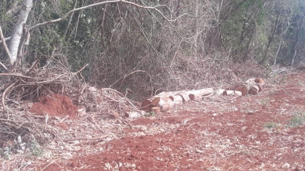 Fotos: Polícia Ambiental