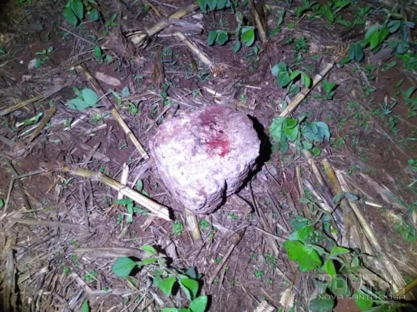 Pedra usada no crime. (Foto: Colaborador)