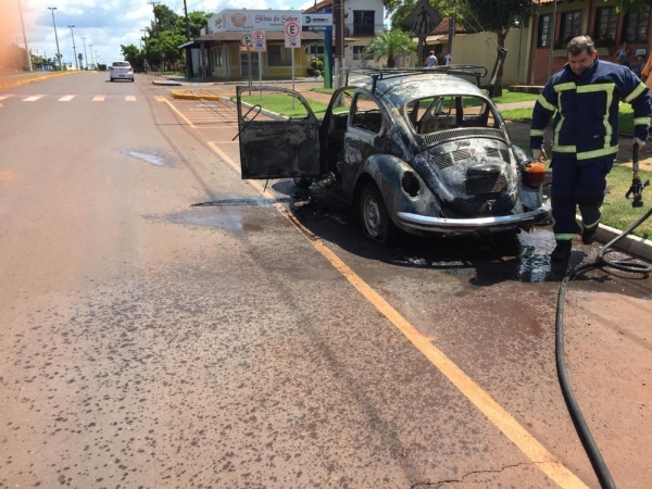 Foto: Marechal News