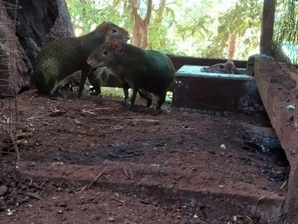 Foto: PMPR