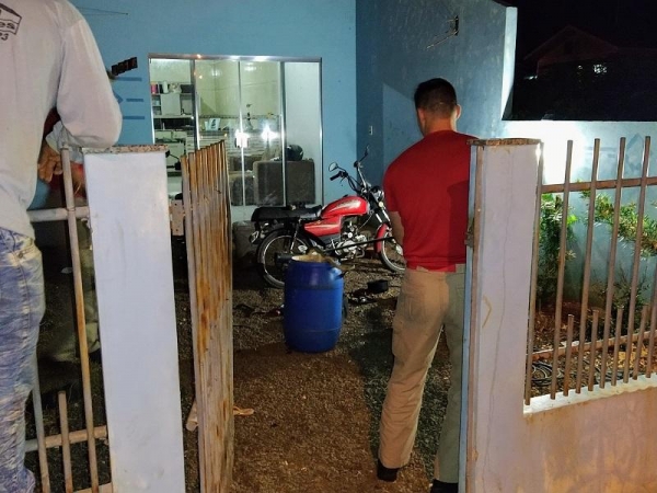 Os bombeiros fizeram a captura da serpente. (Foto: Ponto da Notícia)