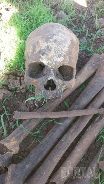 Foto: Divulgação/Arquivo Pessoal