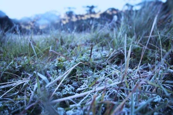 Fotos: São Joaquim On Line