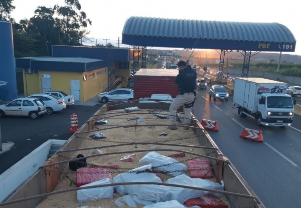 Droga estava escondida em uma carga de soja, em Mandaguari — Foto: Divulgação/PRF
