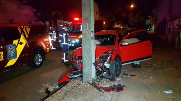  Antes de atingir o poste ele ainda derrubou uma pequena árvore.(Foto: CGN)